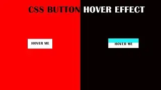 CSS Button Animation hover effect - HTML & CSS
