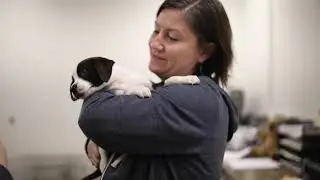 Pope Memorial Humane Society CVHS