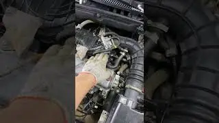 Калина еще побегает