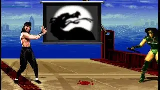 Mortal Kombat Blood Storm Vs Krossed Realms (Dark Liu Kang)