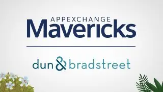 AppExchange Mavericks: Dun & Bradstreet Manages Data Quality in Salesforce