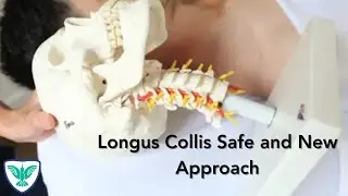 SFH Massage Training | Longus Collis safe and new approach