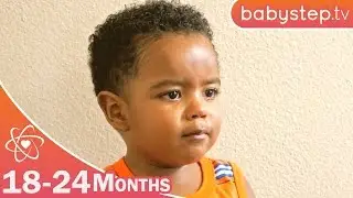 Weathering Emotions | 18 to 24 Months | Good Parenting Videos by babystep.tv