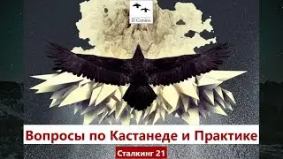 Вопросы по Кастанеде и Практике