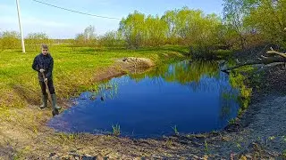 The pond at the dacha in spring! I added my first fish to the pond!