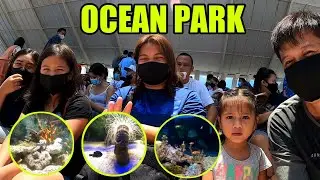 OCEAN PARK ADVENTURE Day 2 gitterAETV