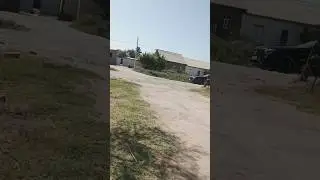 angor kamnizumdagi tuy kortejni biri