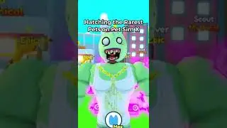 RAREST PETS IN PET SIMULATOR X 