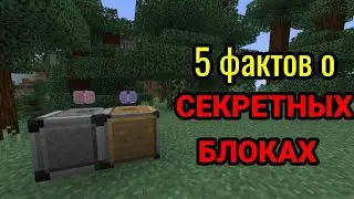 ⚡5 ФАКТОВ ОБ ДВУХ СУПЕР СЕКРЕТНЫХ БЛОКАХ В МАЙНКРАФТ PE  |  БЛОКИ РАЗРЕШИТЬ И ЗАПРЕТИТЬ!