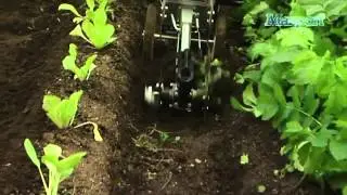 Masport: Home Gardener