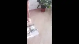 Старт проекта. Взвешивание.