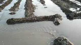 #agriculture org..