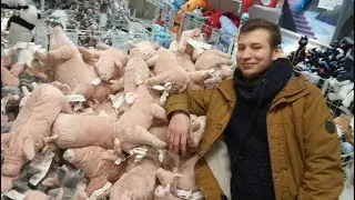Гитара, Звонов и Животноводство -стрим Звонова(29.01.2018)