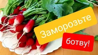 Заморозьте ботву редиса! Первая заготовка на зиму!
