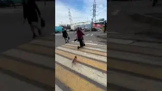 Развлекаемся