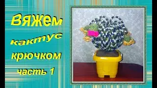 Кактус часть 1