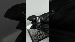 Nail stamping design