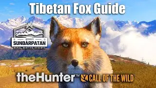 Tibetan Fox Guide - Sundarpatan Nepal - theHunter Call Of The Wild