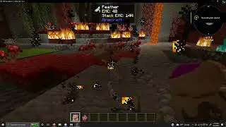 Minecraft Chicken Explodes and goes AAUUGGHHH