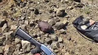 BALLISTIC DUMMY HEAD GOES BOOM 🤯