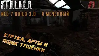 STALKER NLC7 Build 3.0 #3 - Куртка, арты и ящик тушёнки