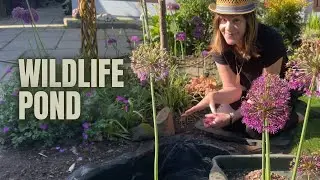 Calling All Frogs 🐸 Hop On Over To Our New Wildlife Pond 🐝🐸🐞