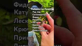 Снасти для рыбалки на Леща Short #shorts