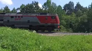 Поезда в Любятово, Ласточка и пригородный Дно - Псков.