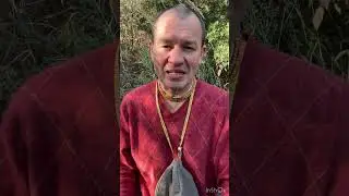 О внутренней речи.