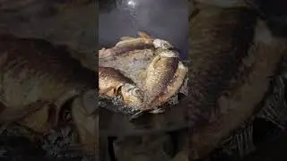 The Long-Lost Crucian Carp Tofu Soup? 