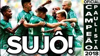 🔴 Agora é Oficial! PALMEIRAS CAMPEÃO PAULISTA DE 2018