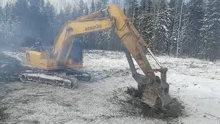 Экскаватор выдергивает пеньки на делянке