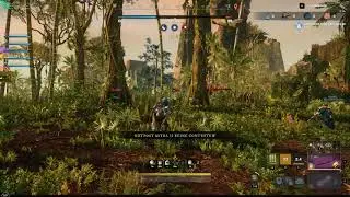 New World Build : Bow elemental/Ice gauntlet- arrow rain damage
