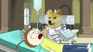 We Are Not Them!!  Rick And Morty but it's DOGE