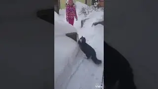 ЗИМНИЕ  ЗАБАВЫ, серия 2,  Наперегонки с котом