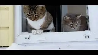 Зимой в деревне...Ой, Дуся, ой, Маруся