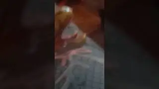 26 de febrero de 2023