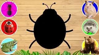 CUTE ANIMALS Ladybug, Frog, Bear, Ant, Ferret, Eyelash | Can You Guess the Right Animals? #08