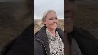 How to check cows 