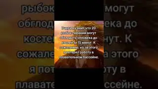 #юмор #шутка #чёрныйюмор #мудрость