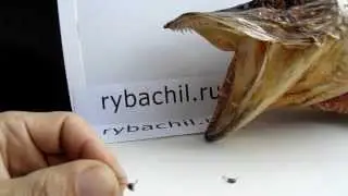 Making a homemade jig from copper wire in a home workshop Video rybachil.ru