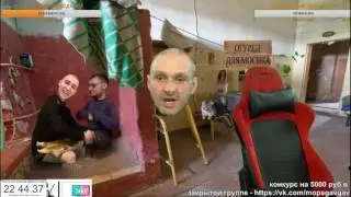 ГОЛОВА МОПСА КРИЧИТ ЧАЕЧКУ