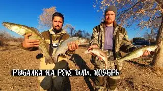 Жерех и судак на рыбалке в Баканасе на реке Или. Ноябрь 2020