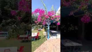 Datça Çümen Apart Otel  #cumen_apartt_ otell #mekanönerisi #keşfet #gezi #datça #travel