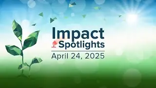 Impact Spotlights: AI in the Wild
