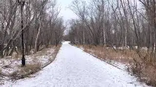 Воркута, городской парк 12.10.2021
