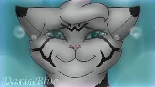 Rolling In The Deep[Animator tribute]