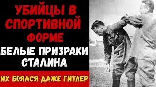 Stalin's Special Forces: How Athletes and Artists Became Elite NKVD Saboteurs