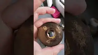 Problème Chauffage Central Gaz Résolu [Le Circulateur]