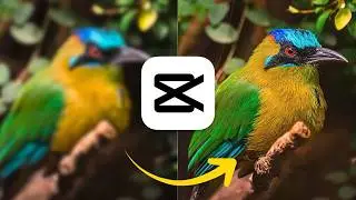 Fix Blurry or Low-Quality Video in CapCut PC (Best 4K Export Settings 2025)